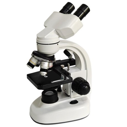 키인더스 50000배율 현미경