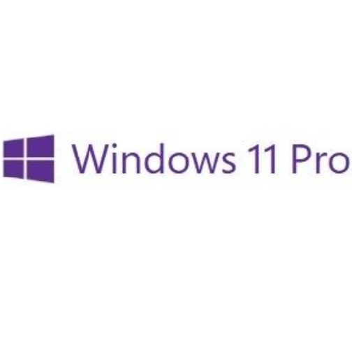 Microsoft  Windows 11 Pro for workstations