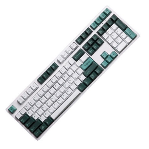 몬스타  식물원