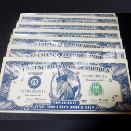 버디나비 백만달러 내기지갑