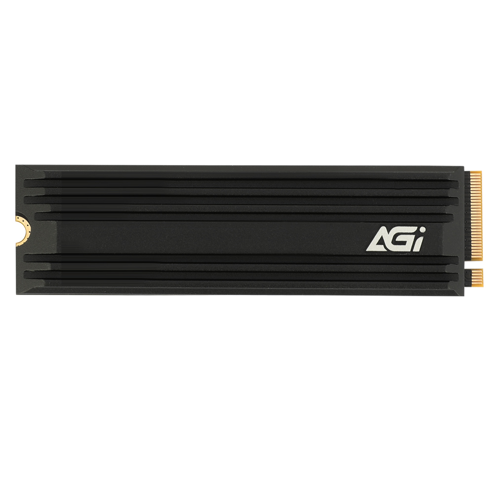 AGI  AI838 M.2 NVMe