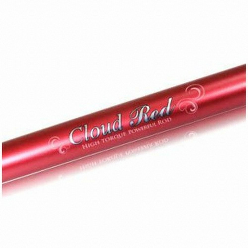 강원산업  클라우드 레드