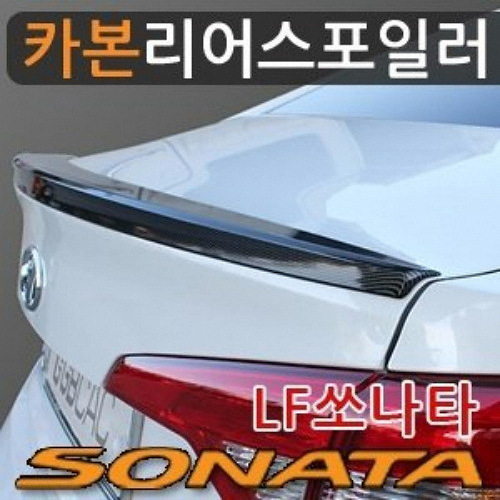 거빈  카본 리어 스포일러 [기아차종]