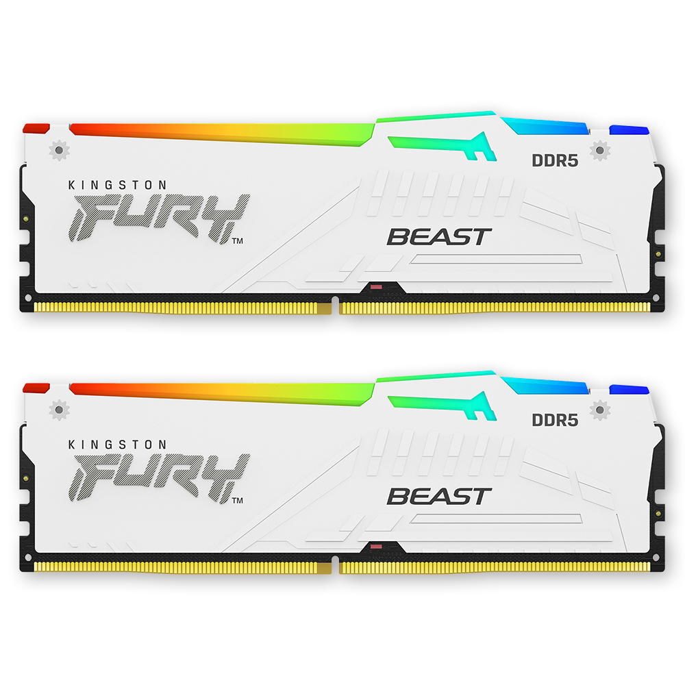 킹스톤 FURY DDR5-6000 CL30 Beast RGB 화이트 패키지 코잇