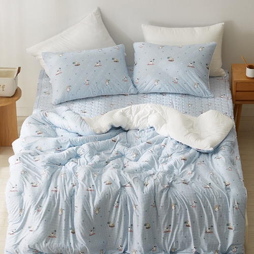 샤이닝홈 더블리 토이팜 마이크로 간절기 차렵이불 베개세트