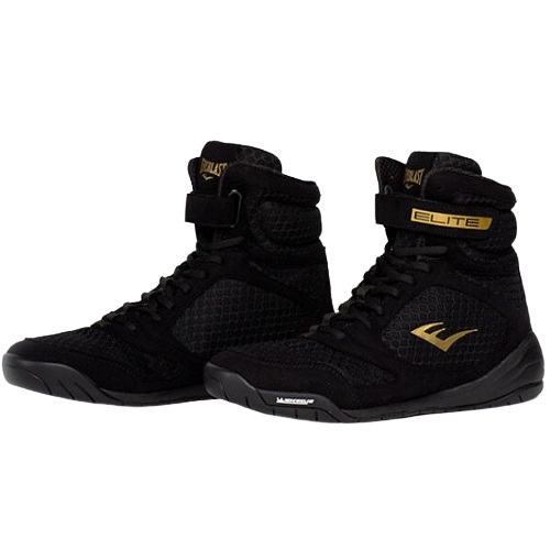 에버라스트  엘리트 2