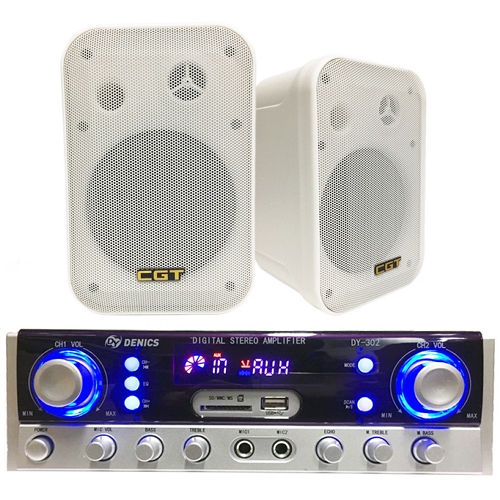 대영음향 DENICS DY-302 + PA-502