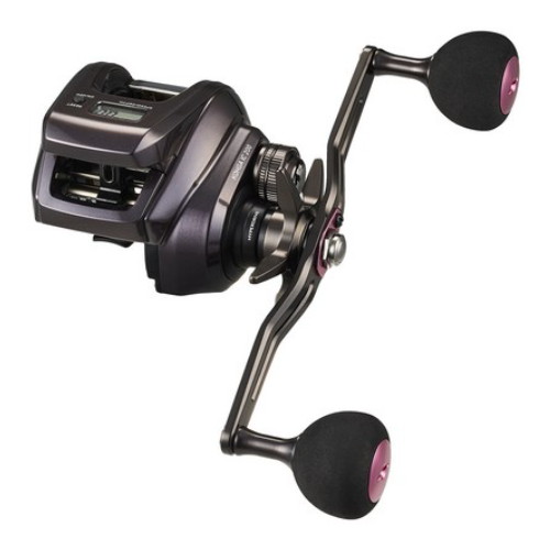 다이와  코우가 IC 200, 2024년형