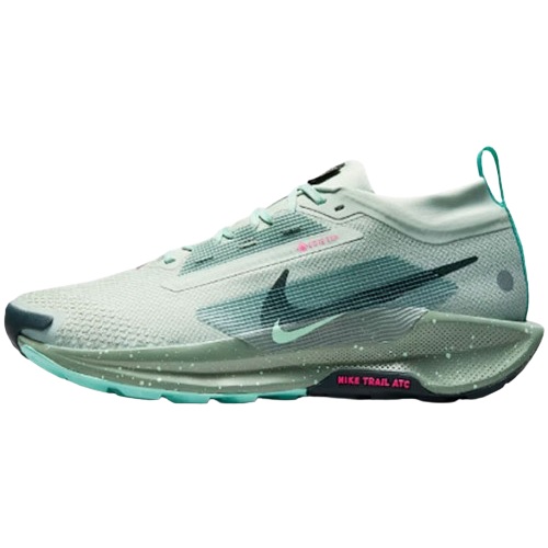 나이키  페가수스 트레일 5 고어텍스 FQ0908-013