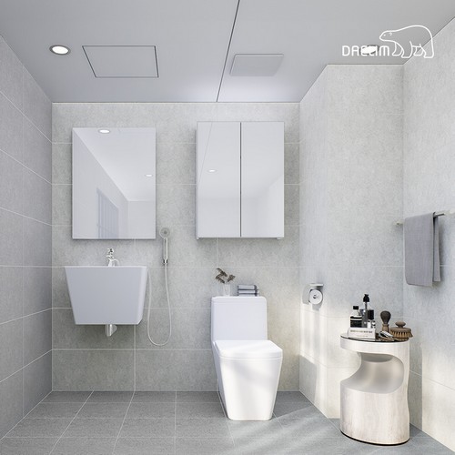 대림바스  코코플레인 안방욕실