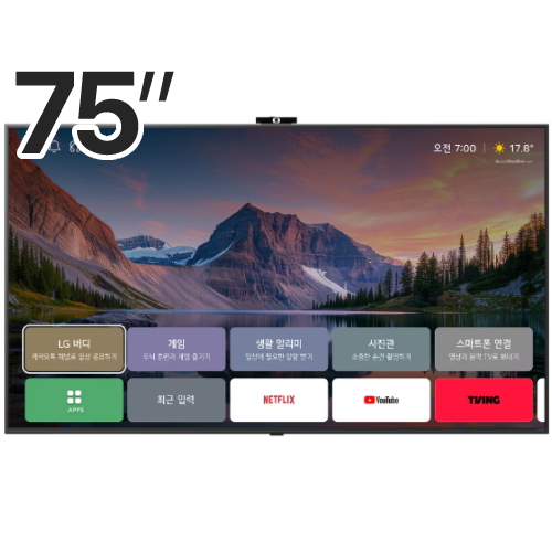 LG전자  EASY AI 75QNED85AKS