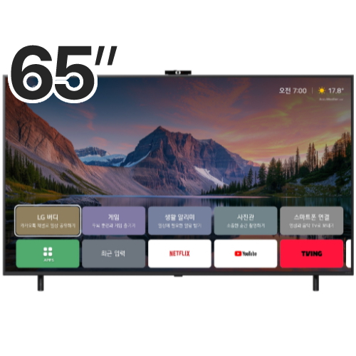 LG전자  EASY AI 65QNED85AKS