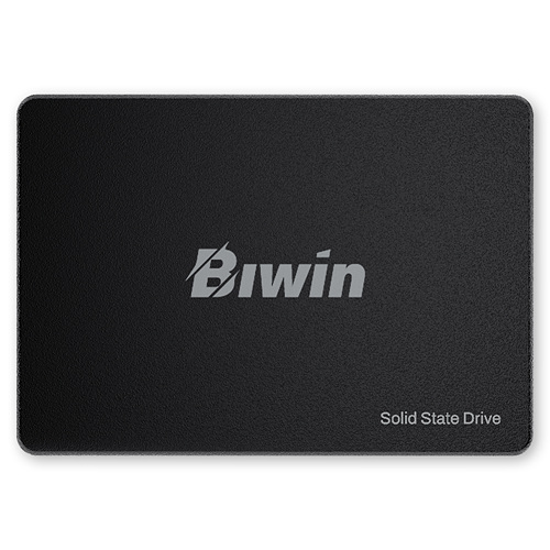 BIWIN  M100
