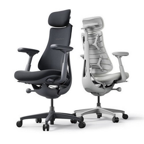 리버노보  다이나믹 인체공학 의자