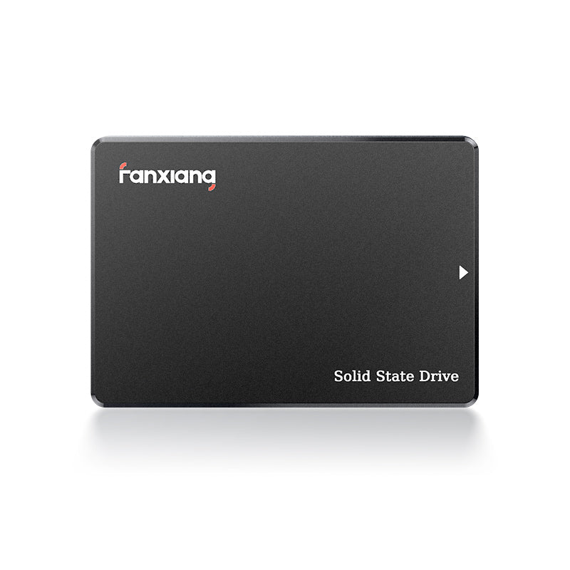 Fanxiang  S101