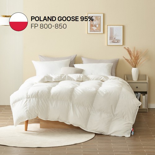 다인패브릭 80수 폴란드 구스 95% 겨울용 이불솜