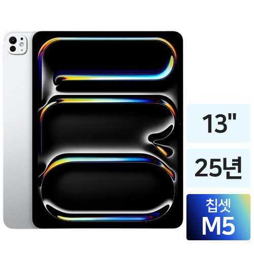 Apple  2025 iPad Pro 13 M5 Cellular 해외구매