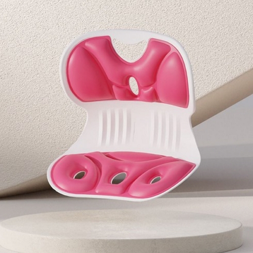 케어리즘  리라인체어 바른자세 좌식 의자