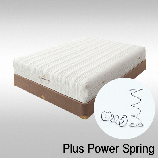 에이스침대 DT3 (DUO TECH3) 투매트리스 SS