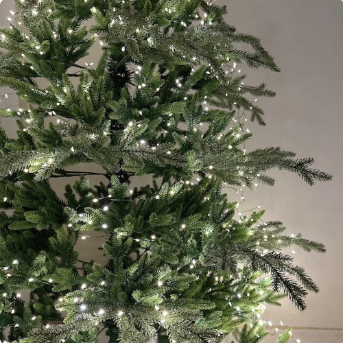 바이에스컴퍼니  LED 크리스마스 트리 지네 전구 몰디브 유럽조명 10m 300구