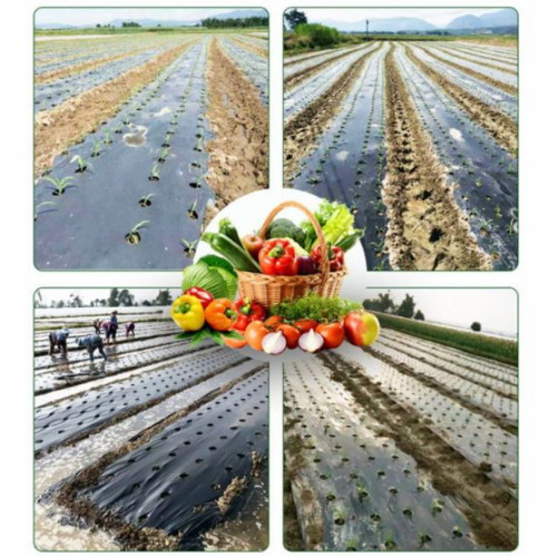 무드무드 멀칭비닐