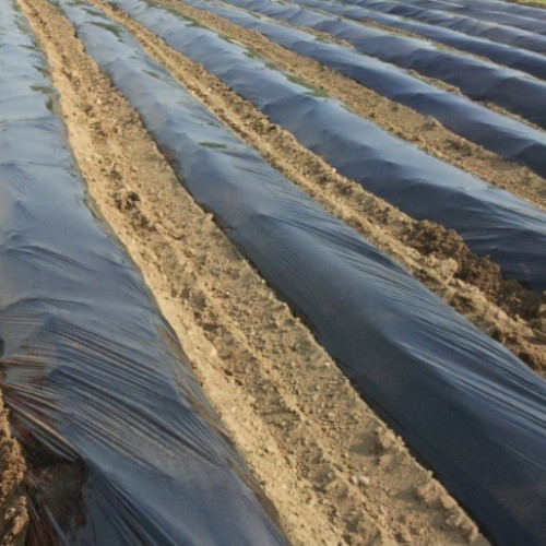 다농 흑색 멀칭용하이덴필름