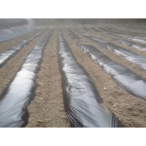 진성 농업용 멀칭 비닐 0.02mm