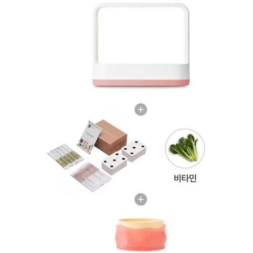 LG전자 틔운 미니 L023P1P12-2