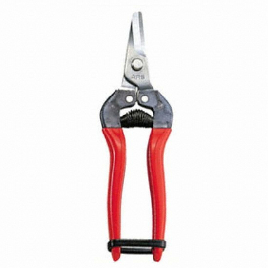 아르스 채과 가위 310DX