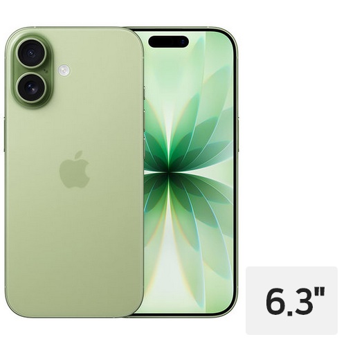 APPLE  아이폰17 512GB, 자급제