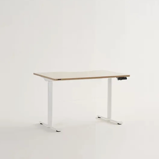 리바트 듀얼모터 라이트 일반형 모션 스탠딩 책상