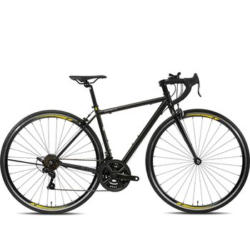 알톤스포츠  제플린 R21 700C (2026년형)