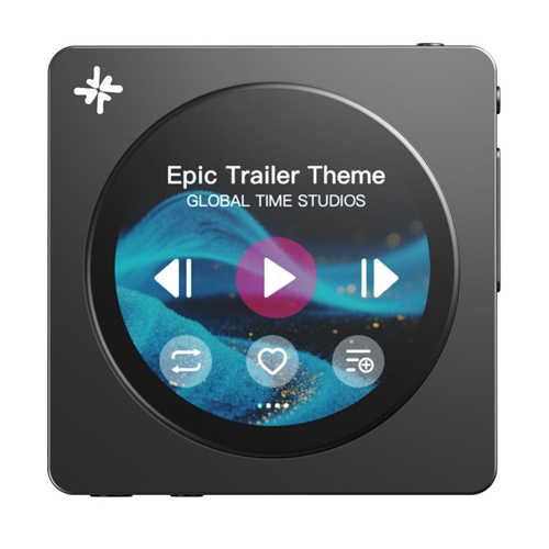 FiiO  SNOWSKY DISC