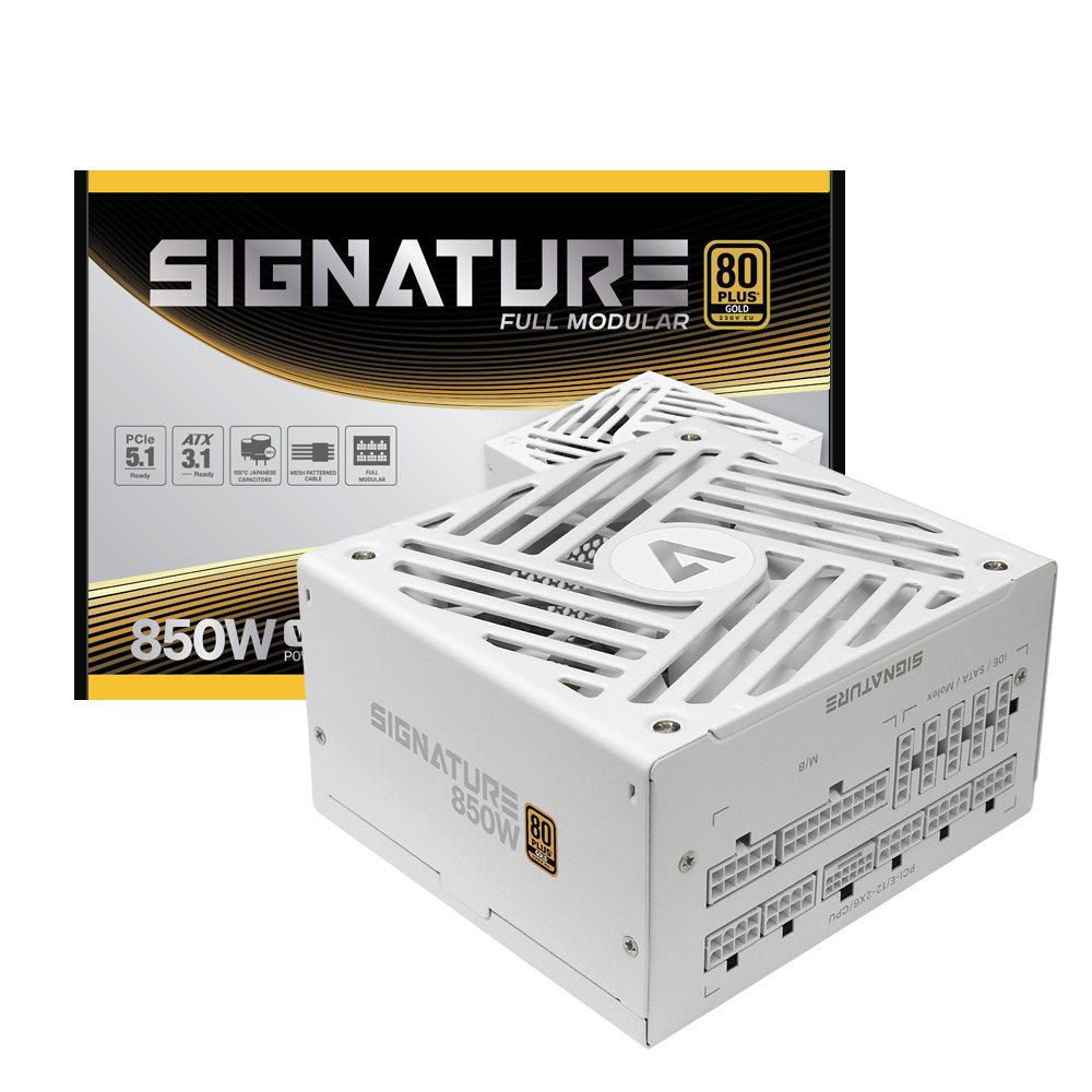 AONE  시그니처 850W 80PLUS골드 풀모듈러 ATX3.1 화이트