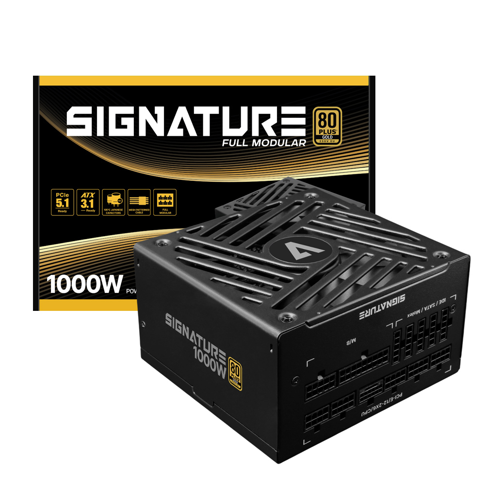 AONE  시그니처 1000W 80PLUS골드 풀모듈러 ATX3.1 블랙