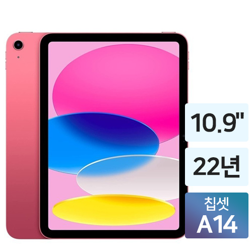 APPLE  2022 iPad 10세대 Cellular 중고
