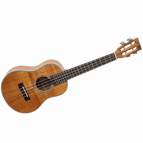 와일드우드  WT-600K