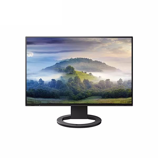 EIZO FlexScan EV2485