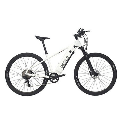 페들나인  EVO300-S 29