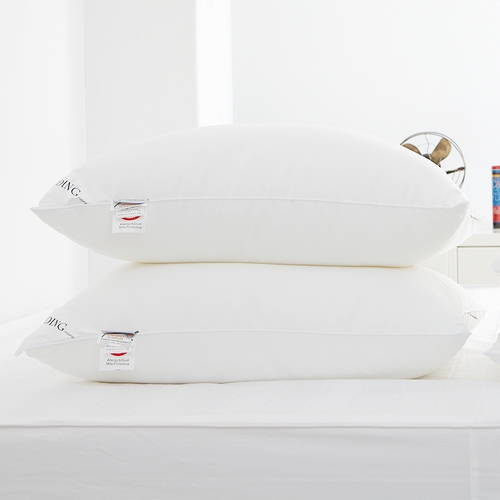 아토앤알로 항균에어로쿨 알러지케어 레귤러 일반 베개솜