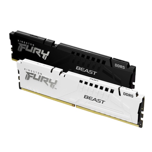 킹스톤 FURY DDR5-5600 CL36 Beast 블랙 병행수입