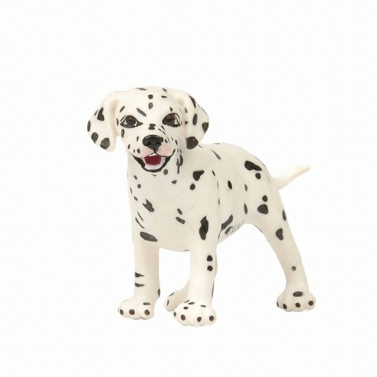 달마시안 강아지 239629