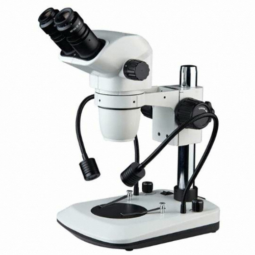 대명  SD6-PG2 실제 현미경