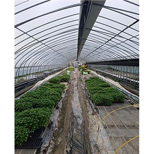 동아필름 하우스용 장수 비닐 0.15mm