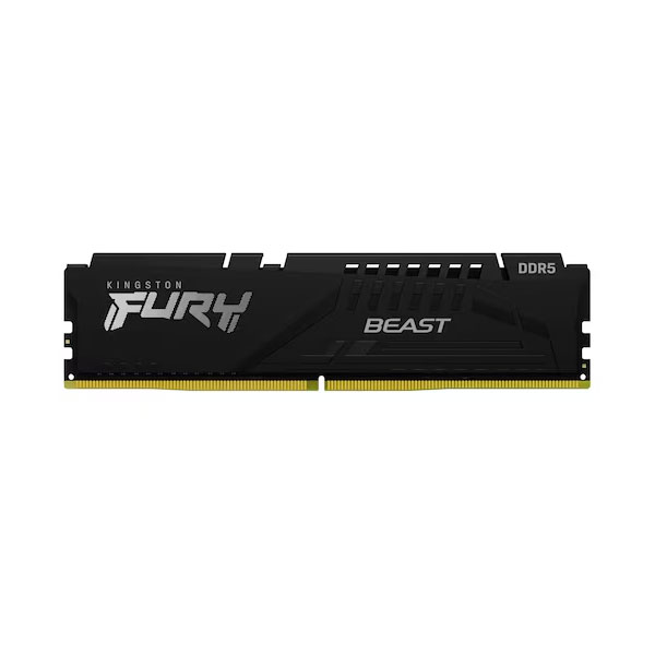 킹스톤 FURY DDR5-5600 CL46 Beast 블랙 병행수입