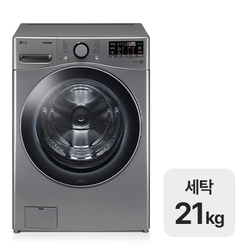 LG전자 트롬 F21VDSKR