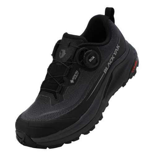 블랙야크 피크온 로우 D GTX ABYSHXV904BK