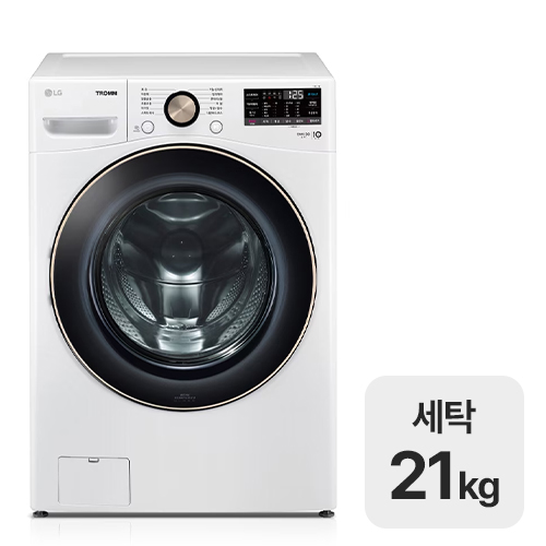 LG전자 트롬 F21WDLPR