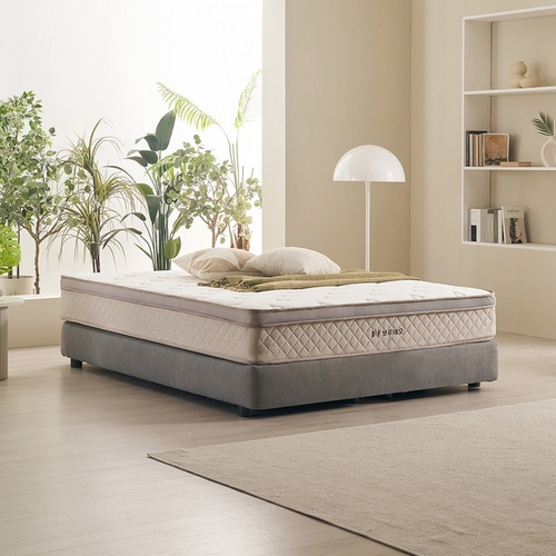 BIF보루네오 오쏘 얼라인 13중 레이어 유로탑 매트리스 SS