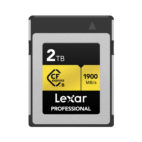 렉사  CFexpress Professional 타입 B 골드시리즈